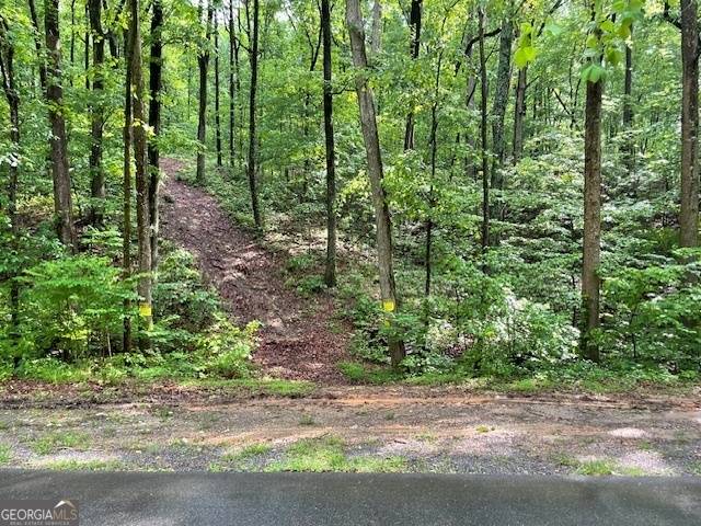 0 E Price Creek RD, Jasper, GA 30143