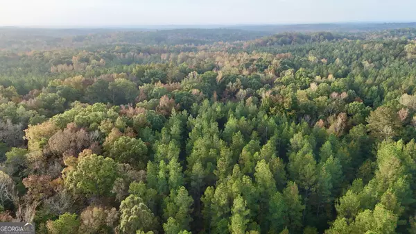 Talbotton, GA 31827,0 Dennis Creek RD