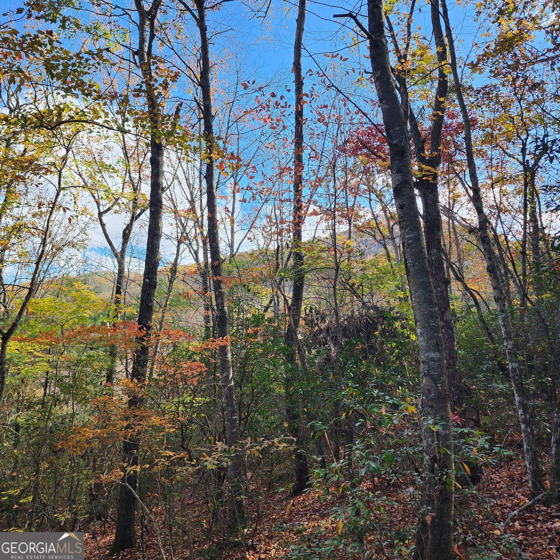 Hiawassee, GA 30546,LOT 10 Enchantment Way