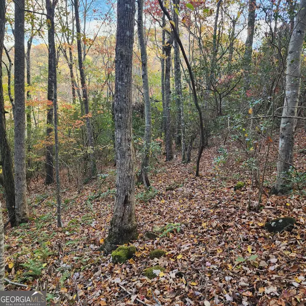 Hiawassee, GA 30546,LOT 10 Enchantment WAY