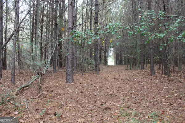 Woodland, AL 36280,0 County Road 134