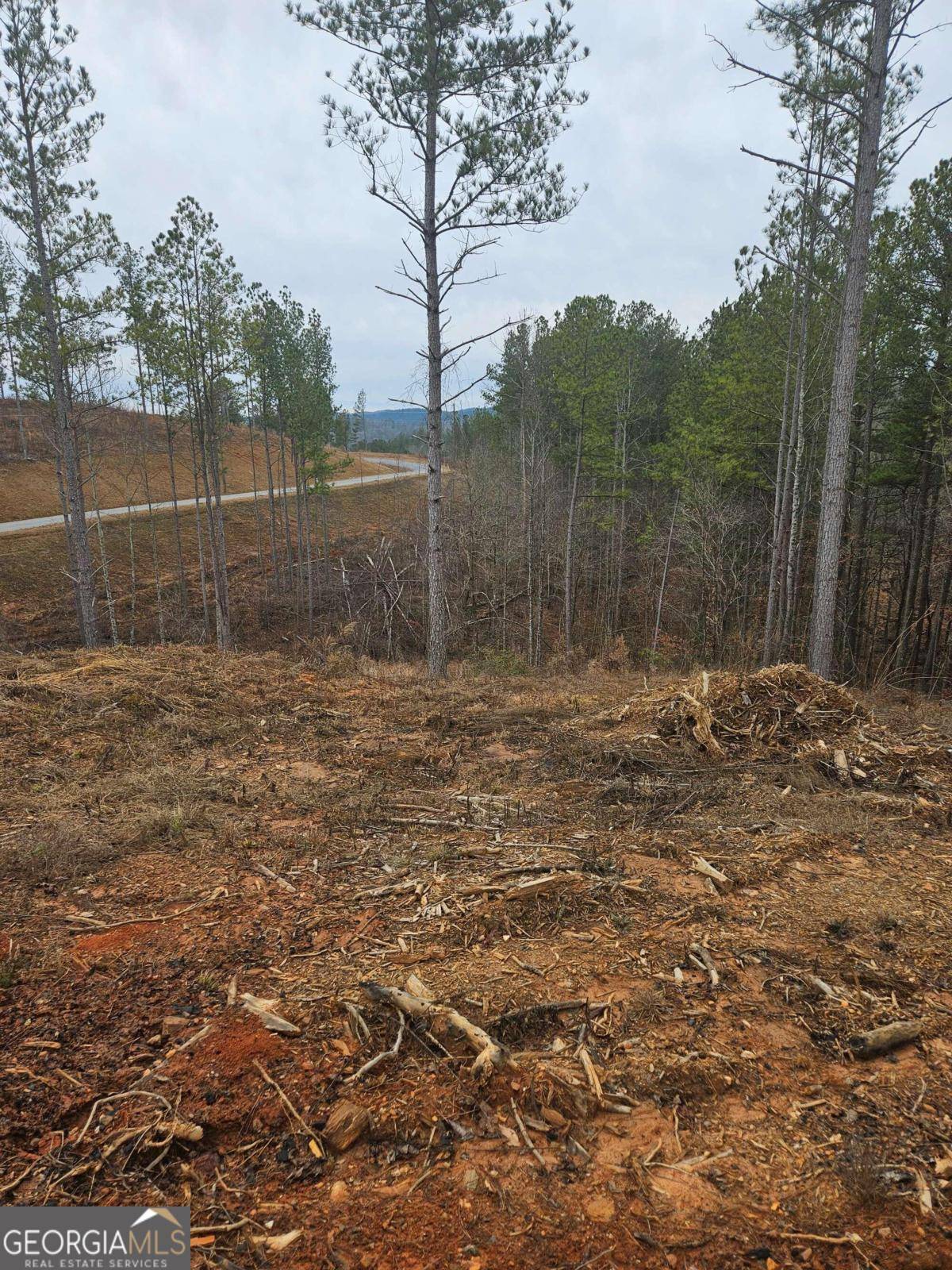 Talking Rock, GA 30175,0 Blalock Mountain Rd - Lot 152