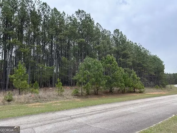 1022 Hunters Landing,  Tignall,  GA 30668