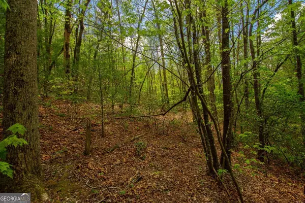 Dawsonville, GA 30534,0 Antioch Valley Road Trct 3