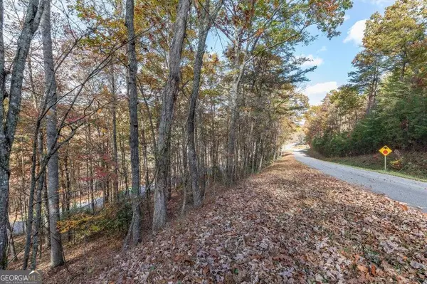 Mineral Bluff, GA 30559,LOT 1 Walker M Sluder Farm