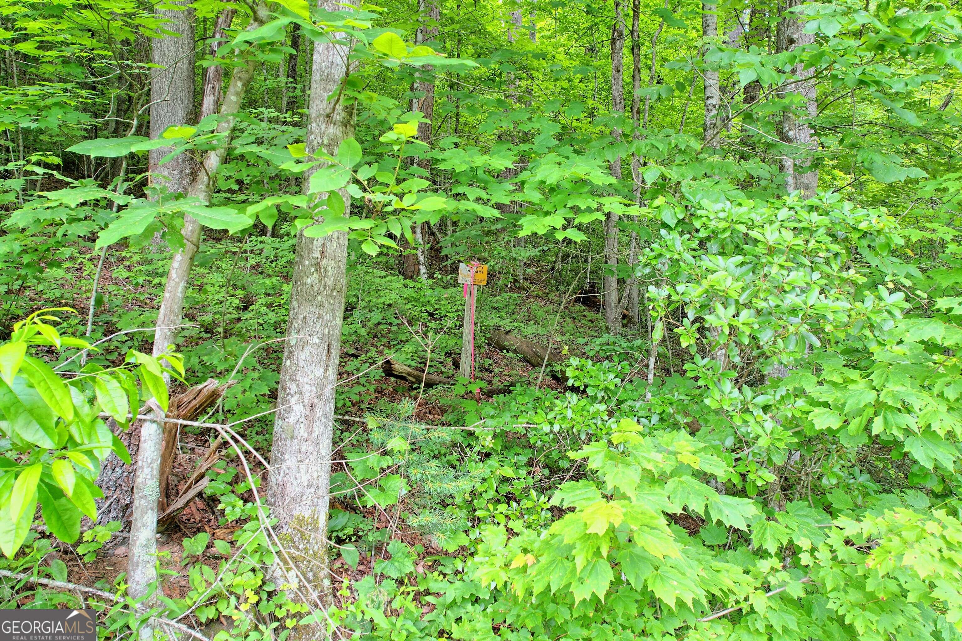 Clayton, GA 30525,0 Warwoman RD