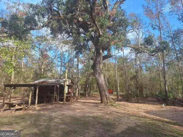 Baxley, GA 31513,0 Morris Landing RD