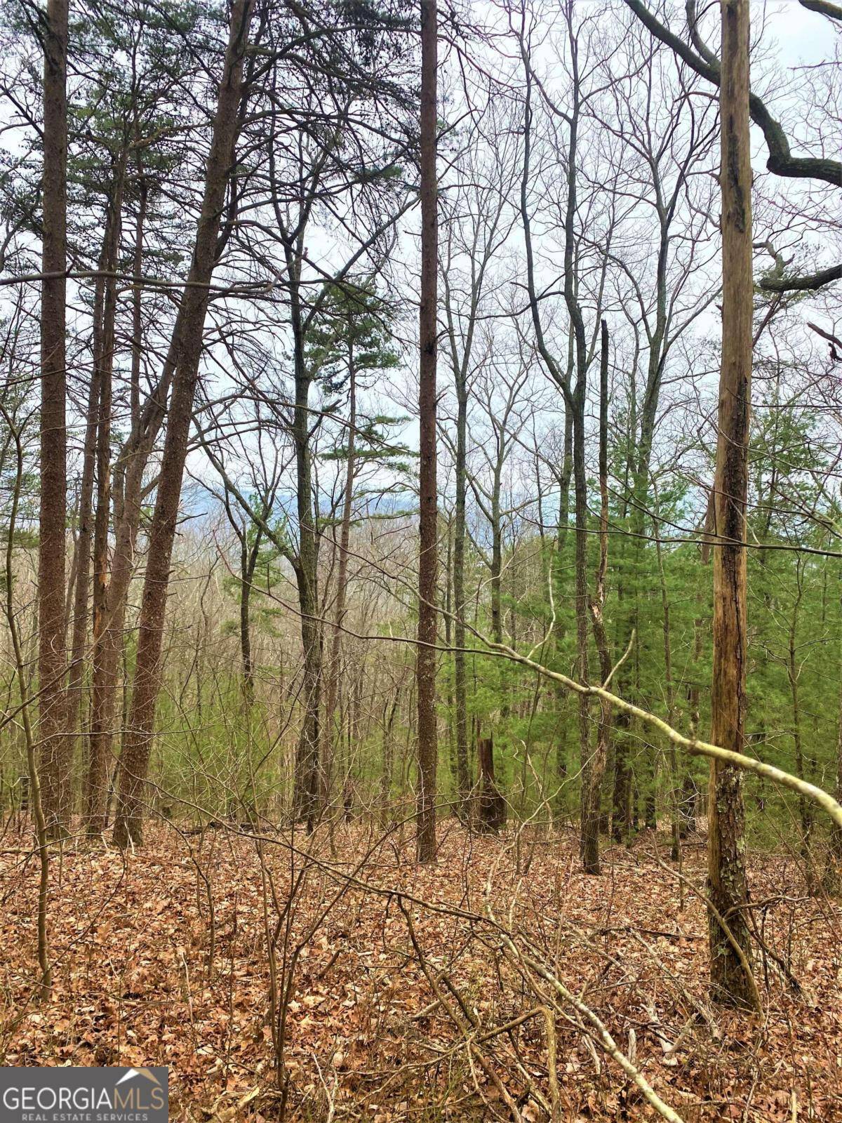 Chatsworth, GA 30705,LOT 7 Brushy Top DR #7