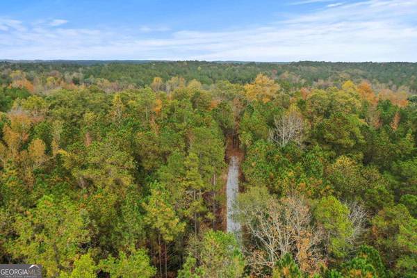 Elberton, GA 30635,LOT 4 Mill ST