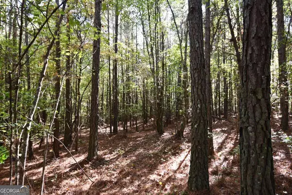 Buchanan, GA 30113,00001 Poplar Springs RD