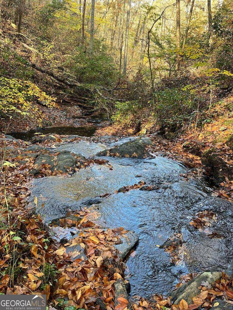 Ellijay, GA 30540,0 Highlands Valley WAY