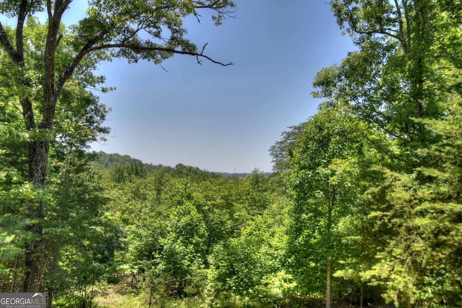 Morganton, GA 30560,327 Dancing Trees TRL