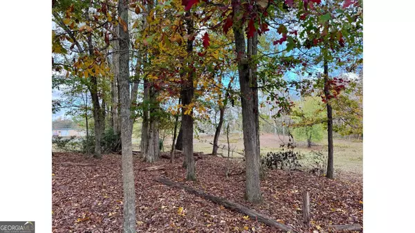 Dawsonville, GA 30534,106 Highway 136