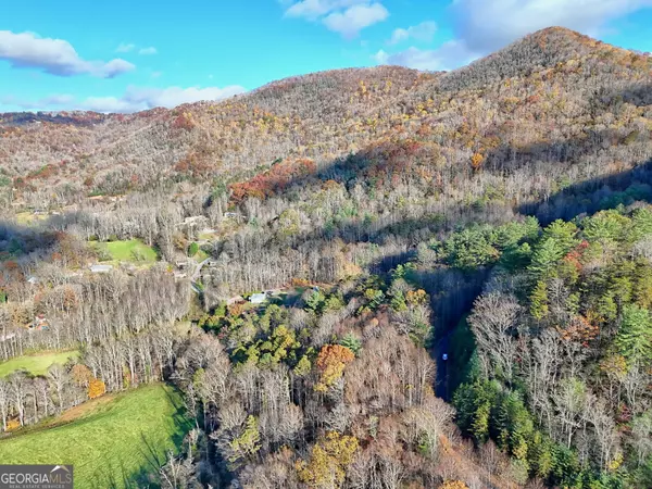 Rabun Gap, GA 30568,0 Shake Hollow