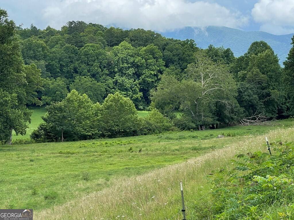 Hayesville, NC 28904,LOT 4B Eagle Fork Road