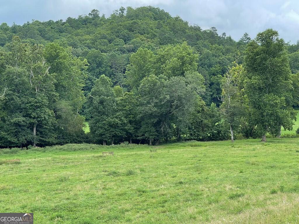Hayesville, NC 28904,LOT 4B Eagle Fork Road