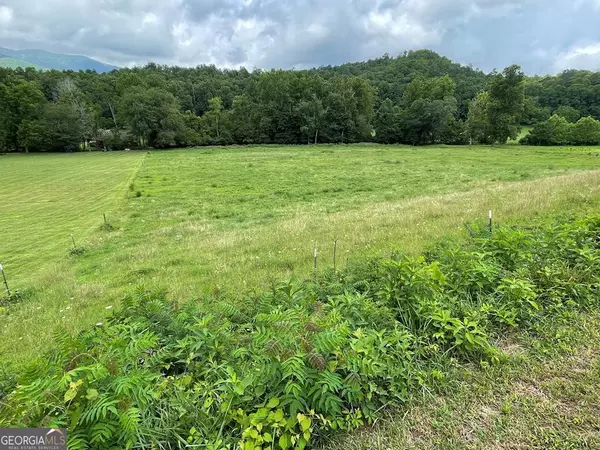 LOT 4B Eagle Fork RD, Hayesville, NC 28904