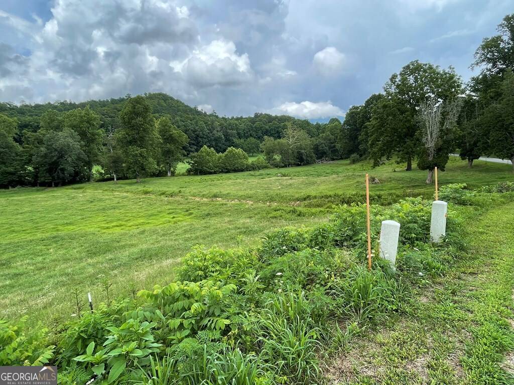 Hayesville, NC 28904,LOT 4B Eagle Fork Road