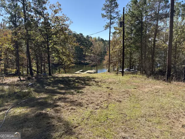 Sparta, GA 31087,511 Chickasaw TRL N