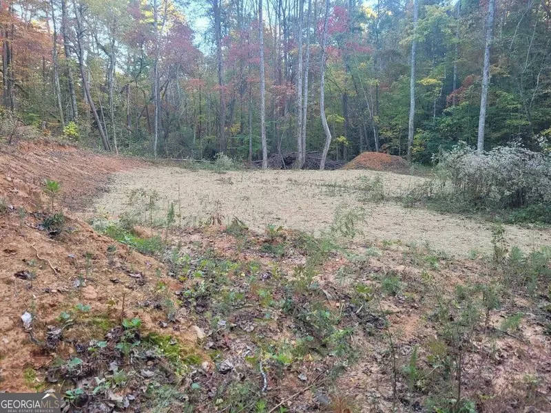 LOT 16 Oscar CT #16, Ellijay, GA 30540