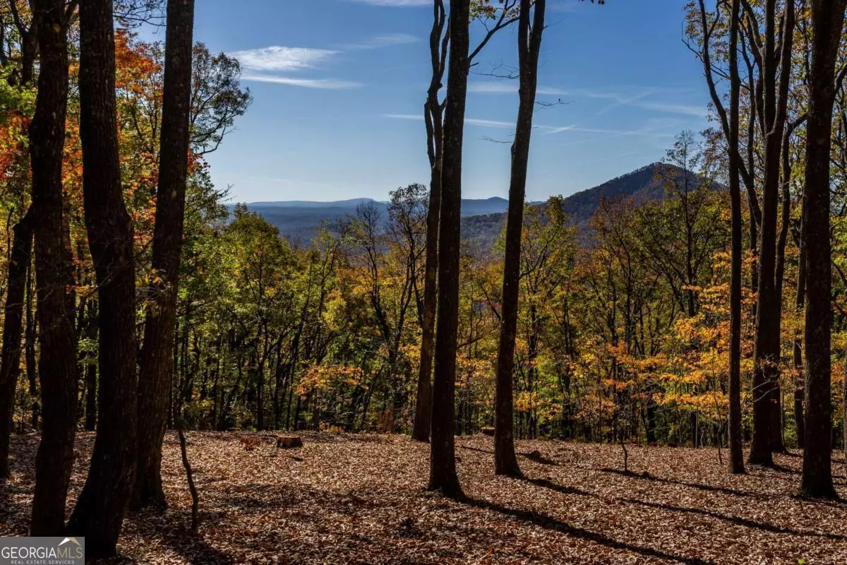 Jasper, GA 30143,40.5 AC Windsong