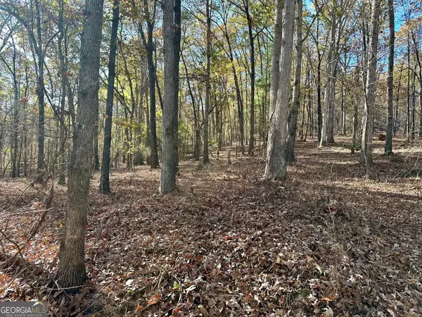 Murrayville, GA 30564,1 Mincey Acres DR