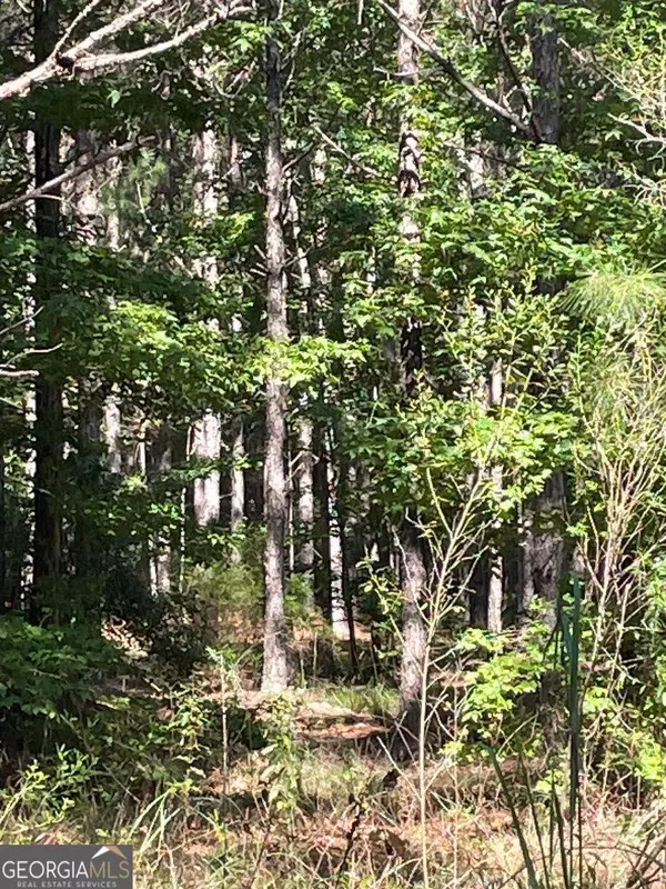 Warrenton, GA 30828,0 Sandy Grove RD