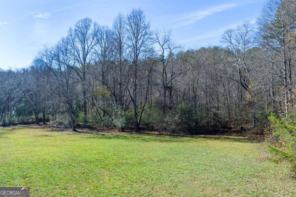 Mccaysville, GA 30555,0 Pine Grove DR