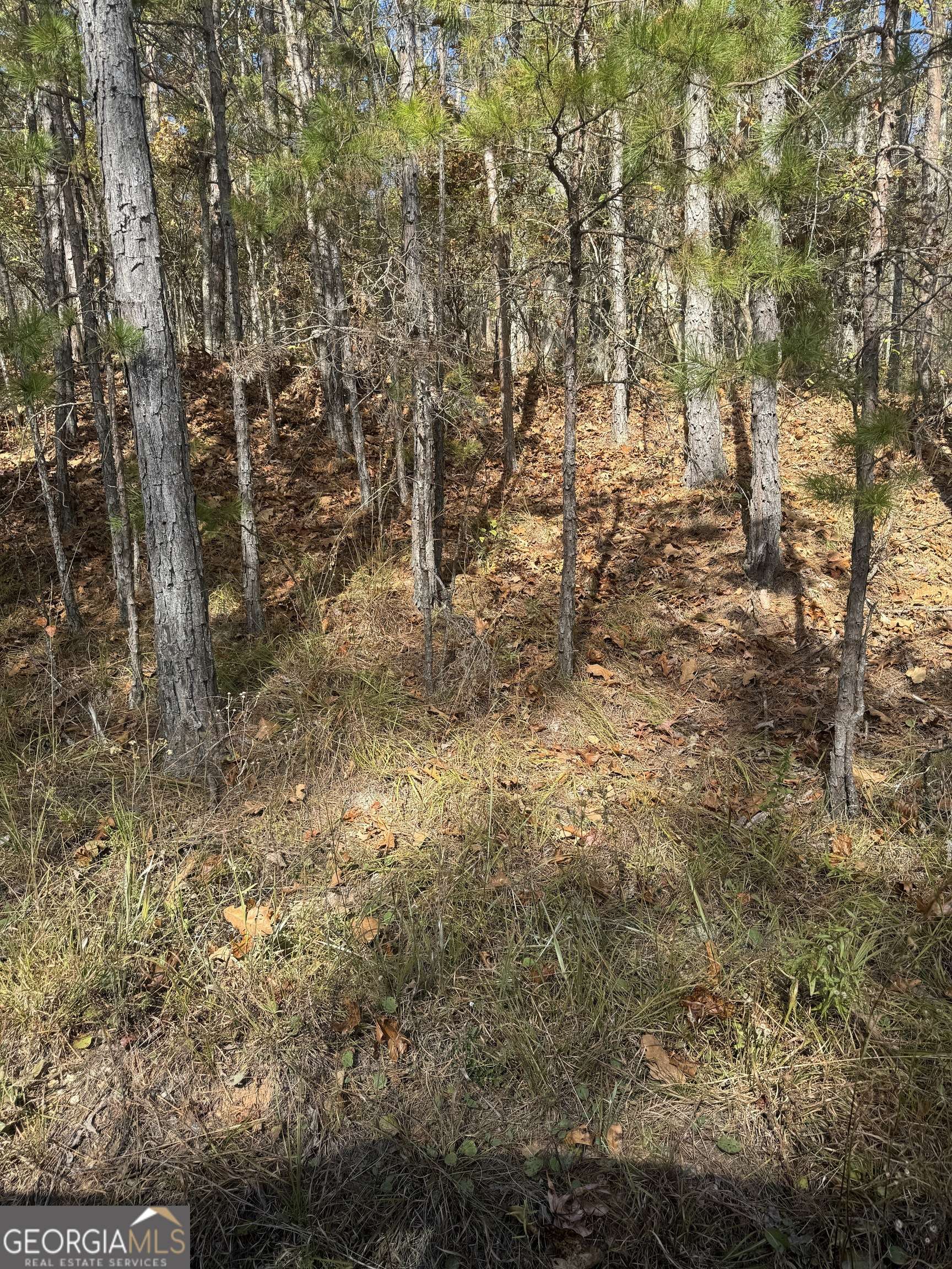 Delta, AL 36258,0 Gobbler Creek RD