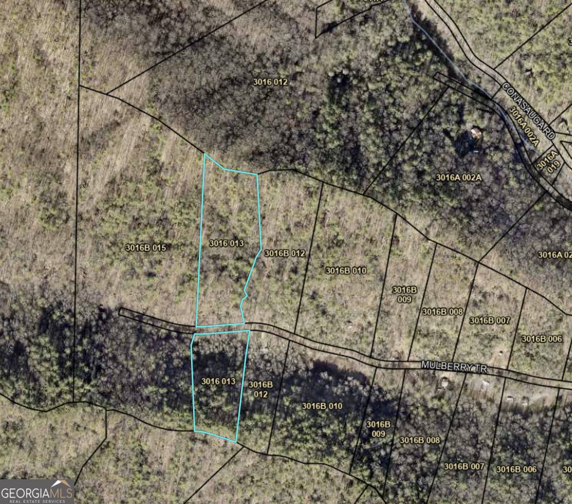 Ellijay, GA 30540,650 Mulberry TRL