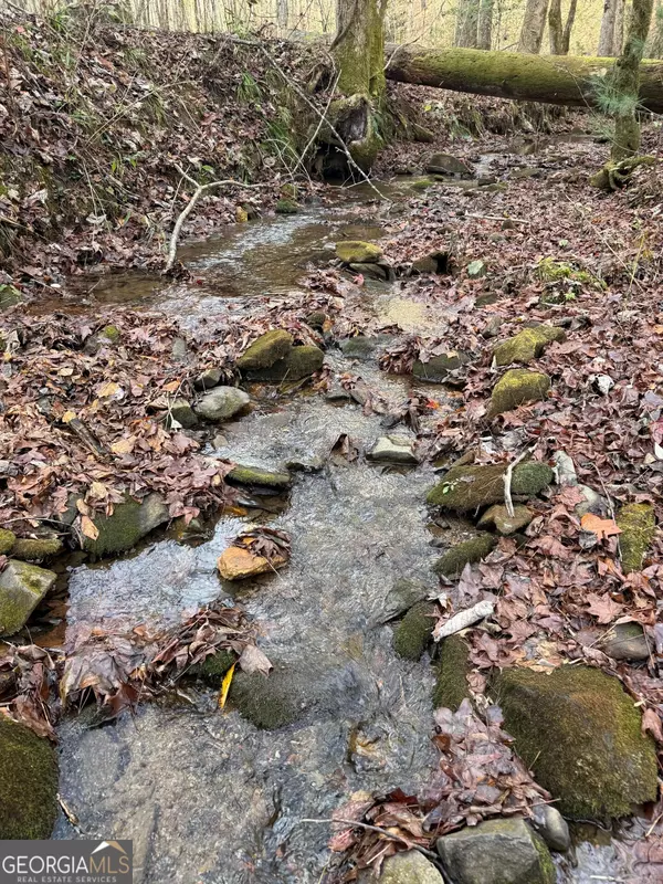 Ellijay, GA 30540,650 Mulberry TRL