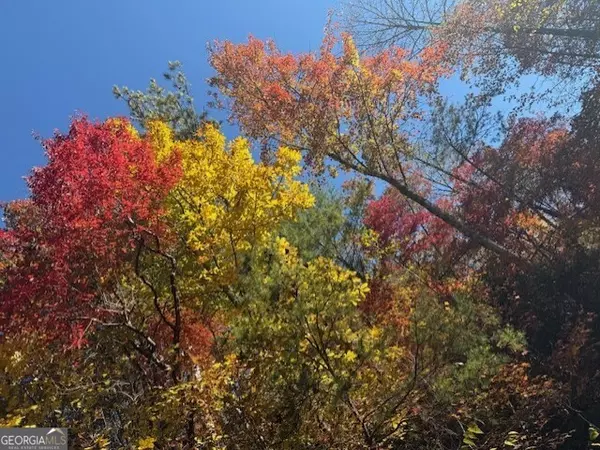 Ellijay, GA 30540,650 Mulberry TRL