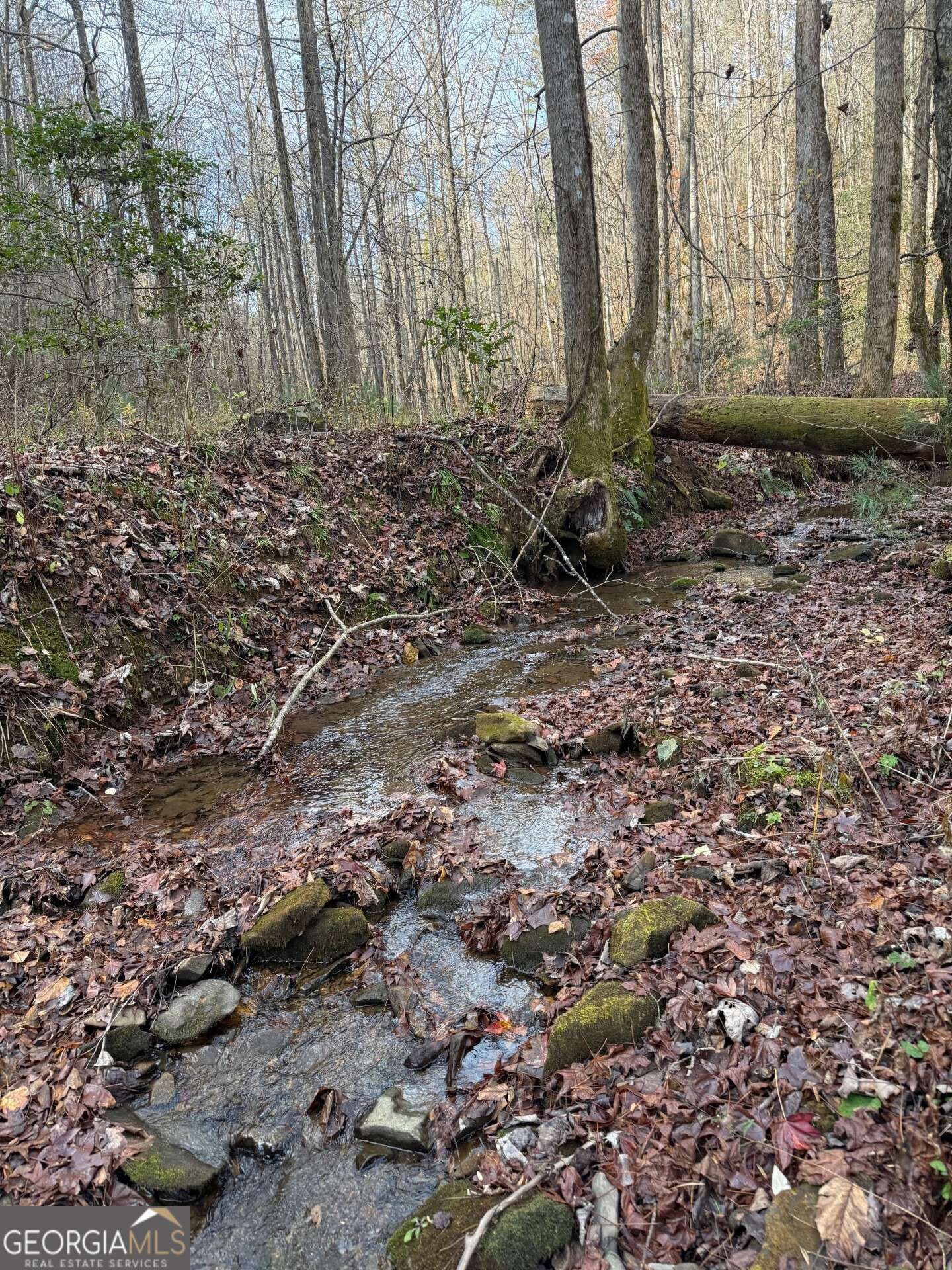 Ellijay, GA 30540,650 Mulberry TRL