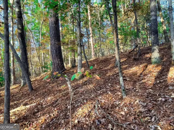 Talking Rock, GA 30175,LOT 23 Fox Trail CT