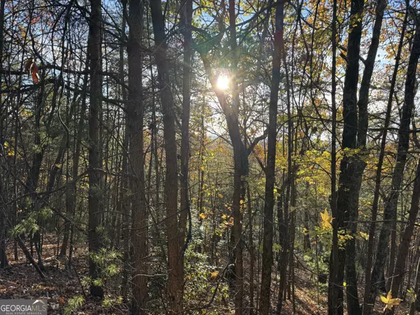 Clarkesville, GA 30523,0 Highlands DR #LOT 24