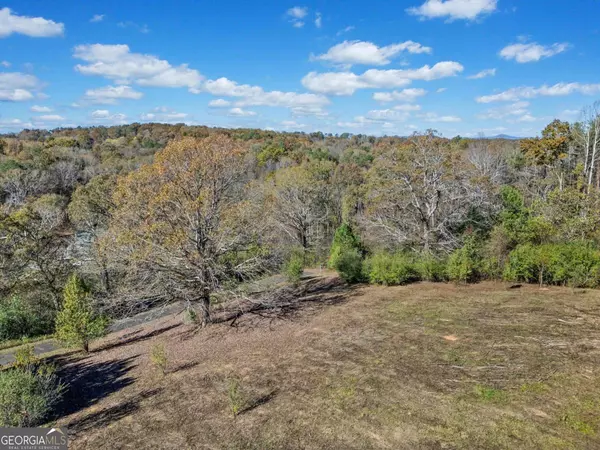 Ellijay, GA 30540,LOT 114 Oak Valley