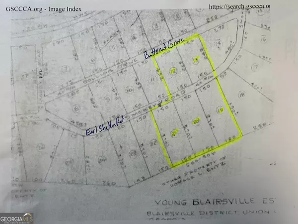 Blairsville, GA 30512,5.7 AC Butternut Grove