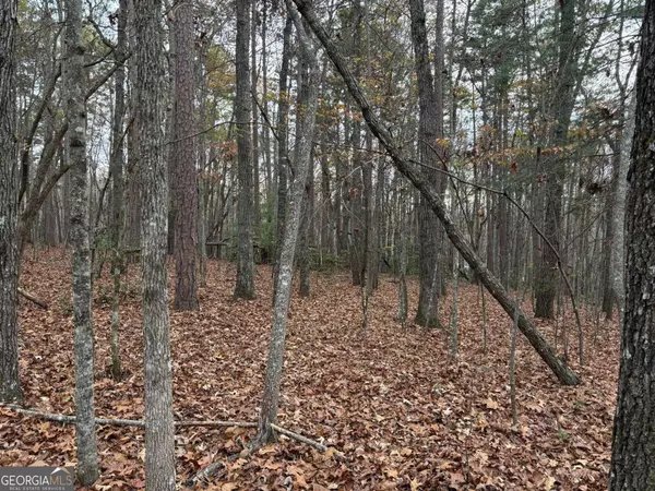 Morganton, GA 30560,3.5AC Liberty Hill