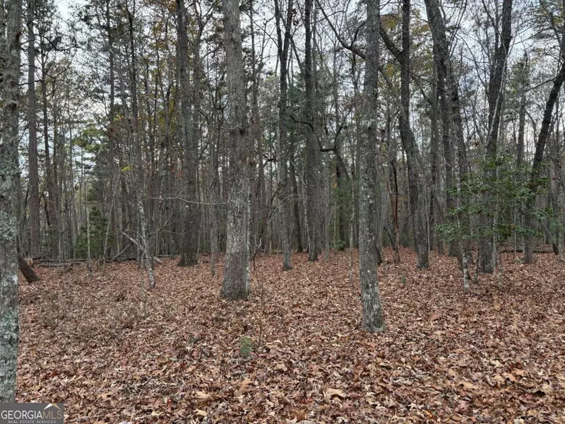 3.5AC Liberty Hill, Morganton, GA 30560