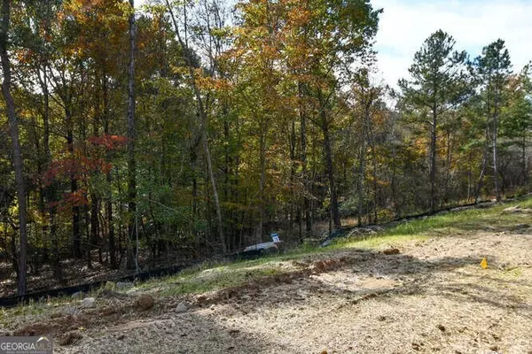 Dacula, GA 30019,3079 Turning Creek TRL