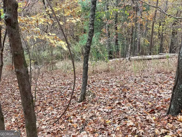 Ellijay, GA 30540,LOT 468 Cherokee