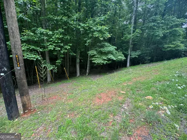 Ellijay, GA 30540,LOT 1721 Newport