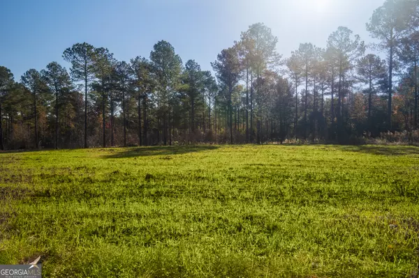 Elko, GA 31025,0 GA Highway 26