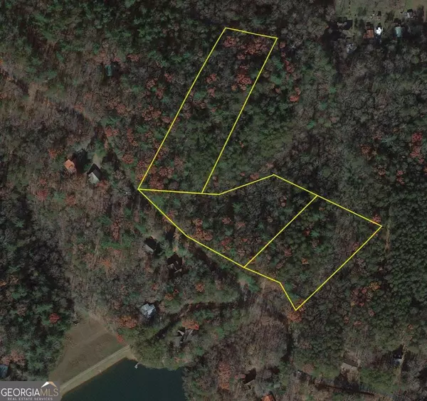 Ellijay, GA 30536,TRACT 6 Turniptown RD