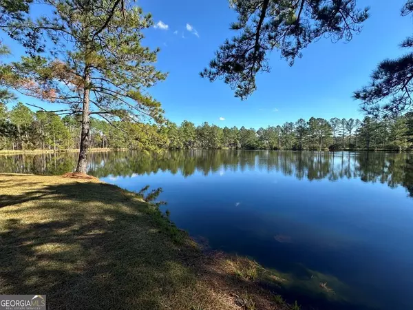 Sylvania, GA 30467,455 Best Bridge RD