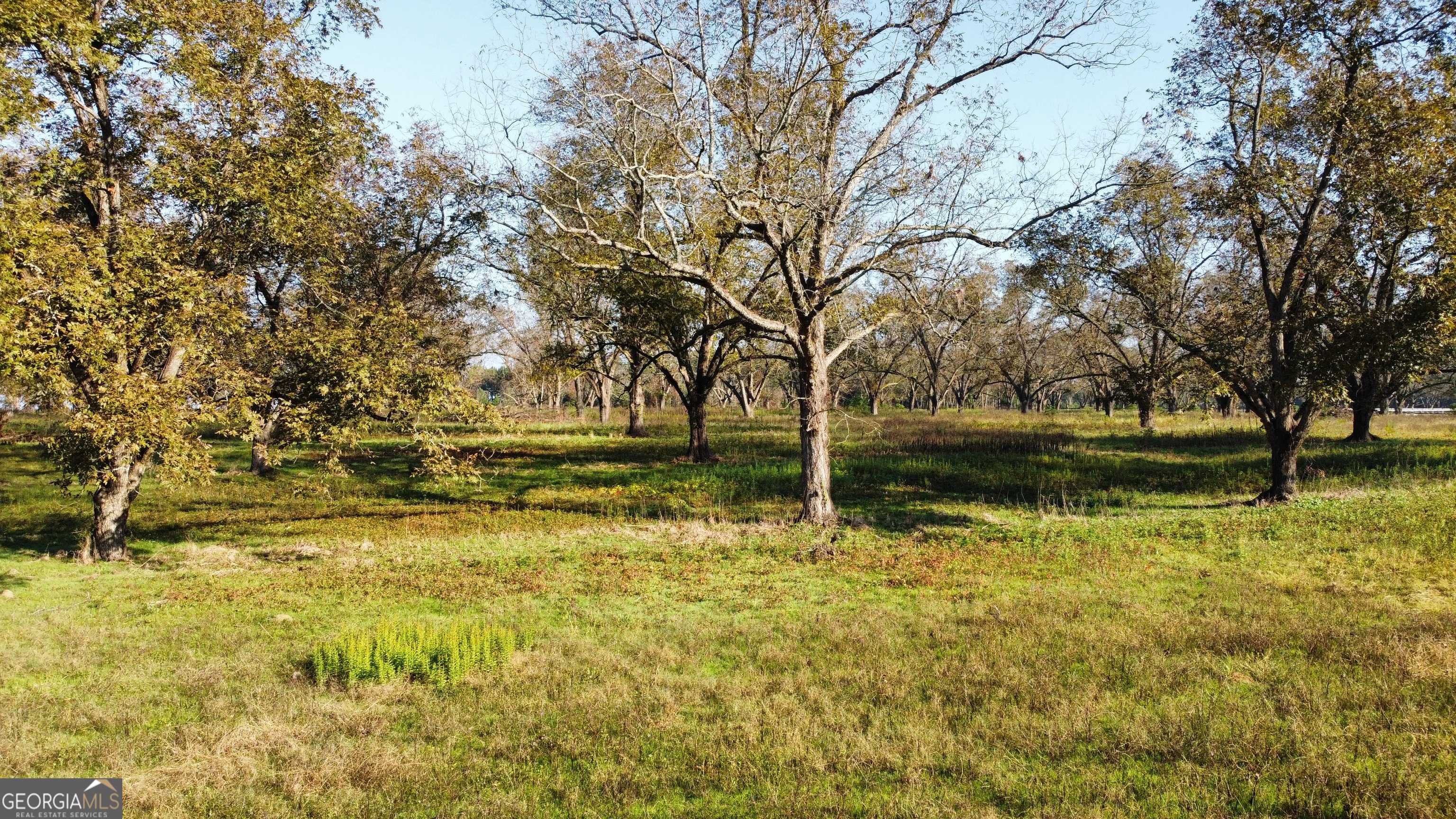 Elko, GA 31025,7-9 County Line road