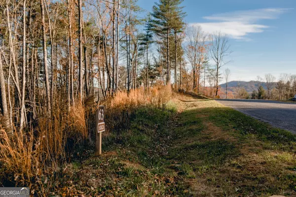 Morganton, GA 30560,LT 63 Ridges Of Blue Ridge