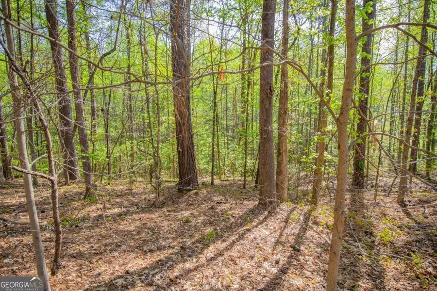 0 Lake Esther DR #1, Fairburn, GA 30213