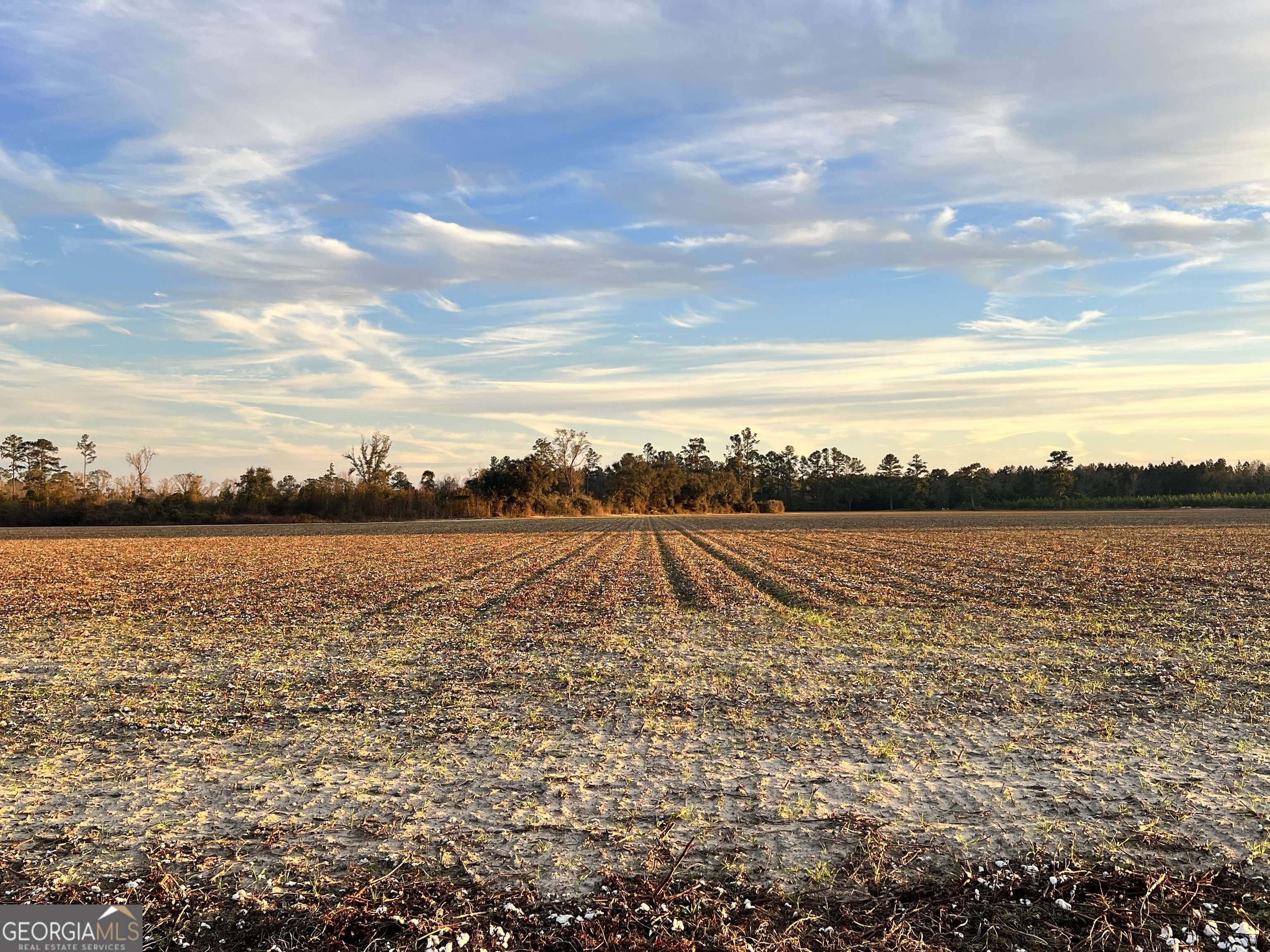 Brooklet, GA 30415,0 W P Clifton RD