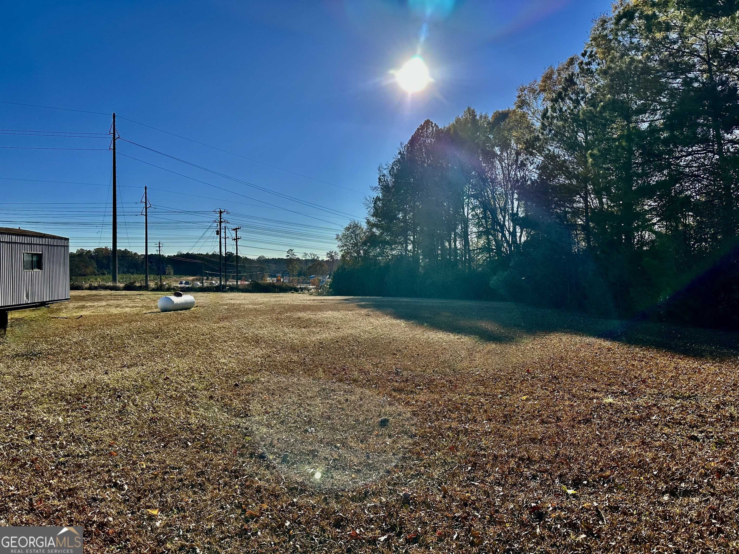 Zebulon, GA 30295,9311 U.S. Highway 19